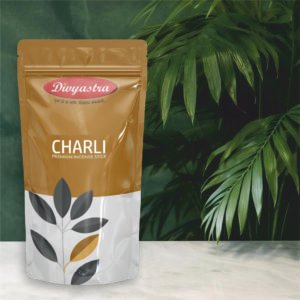 Divyastra Charli Incense Stick Zipper - Pack of 12