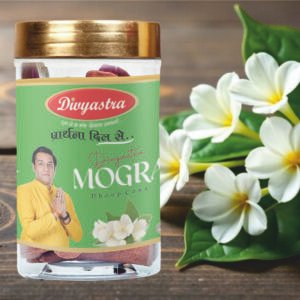 Divyastra Mogra Jar Dhoop Cone - Pack of 12