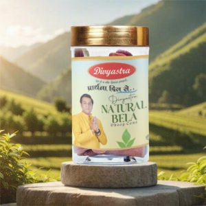 Divyastra Natural Bela Jar Dhoop Cone - Pack of 12